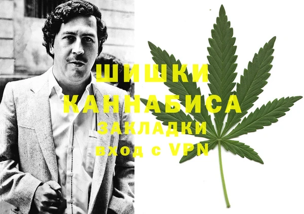 ГАЛЛЮЦИНОГЕННЫЕ ГРИБЫ Верхний Тагил
